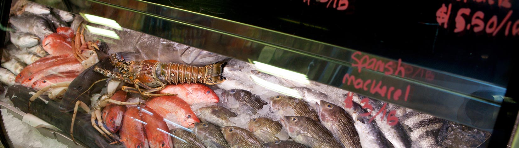 Various seafood, fish, lobsters, clams on display in a fish market.