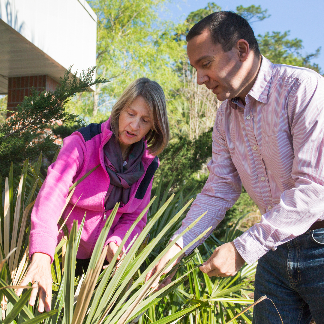 Two individuals outdoors examining plants together, engaged in an educational or research activity.
