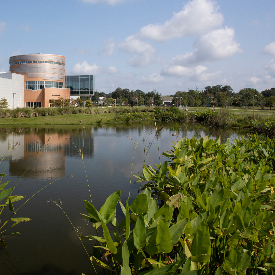 Pond with aquatic plants reflecting a modern glass building under partly cloudy sky