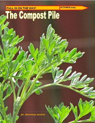 Front cover of newsletter featuring a close-up photo of Artemisia absinthium or wormwood