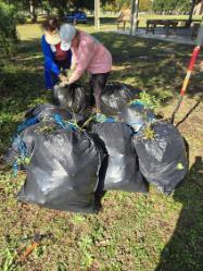 Trash bags full of weeds