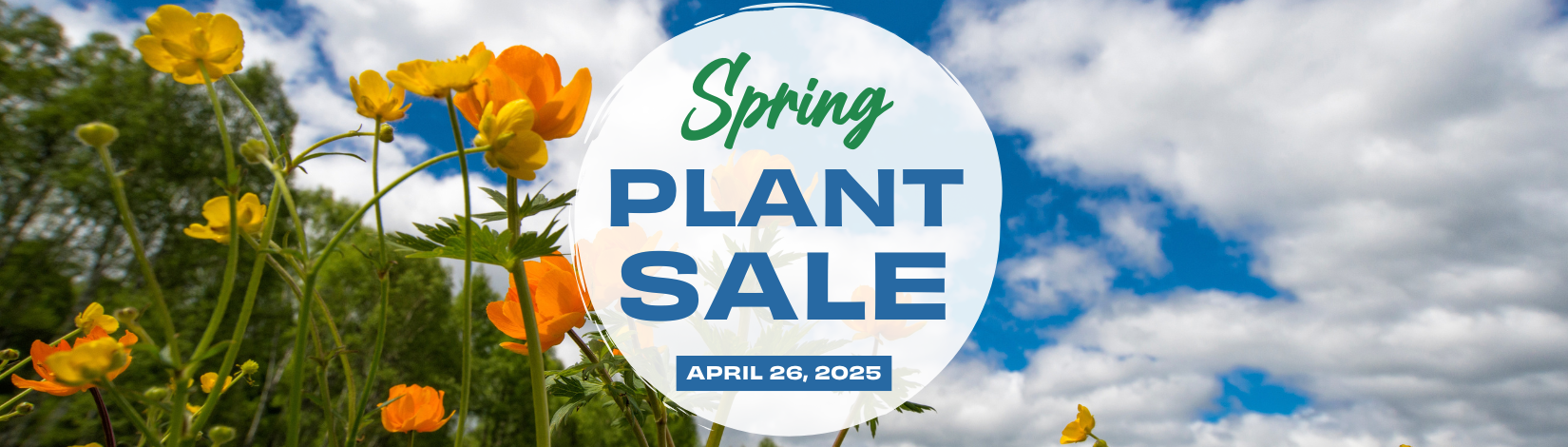 Spring Plant Sale Banner