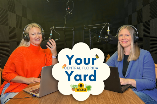 Your Central Florida Yard Podcast Studio Image