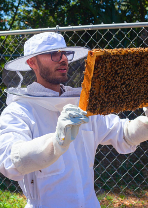 Luis Beekeeping Headshot SWFSFN 2