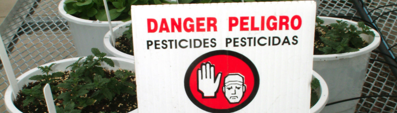 A bi-lingual sign cautioning passersby about pesticides being present. the sign reads, 
