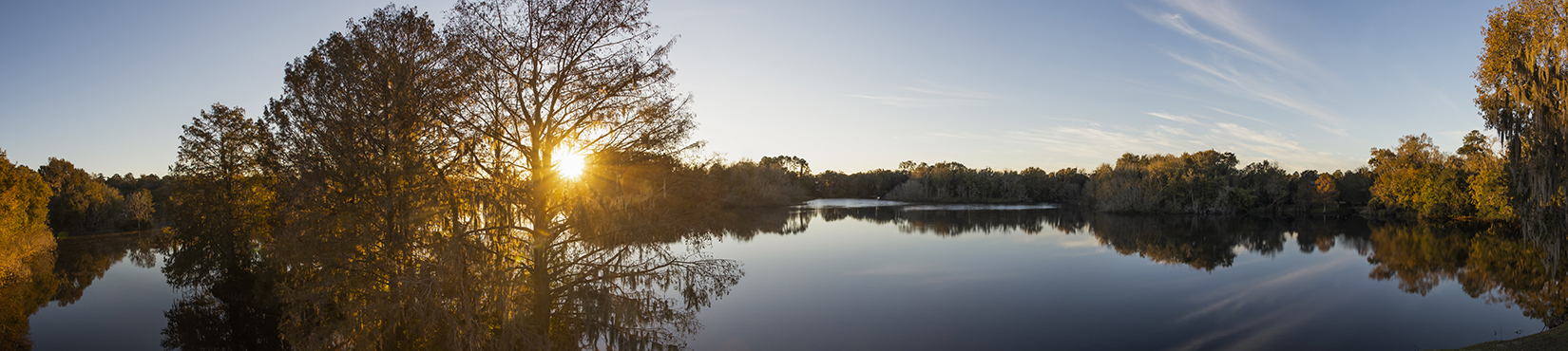 Sunrise photo of Lake Alice in Gainesville, FL