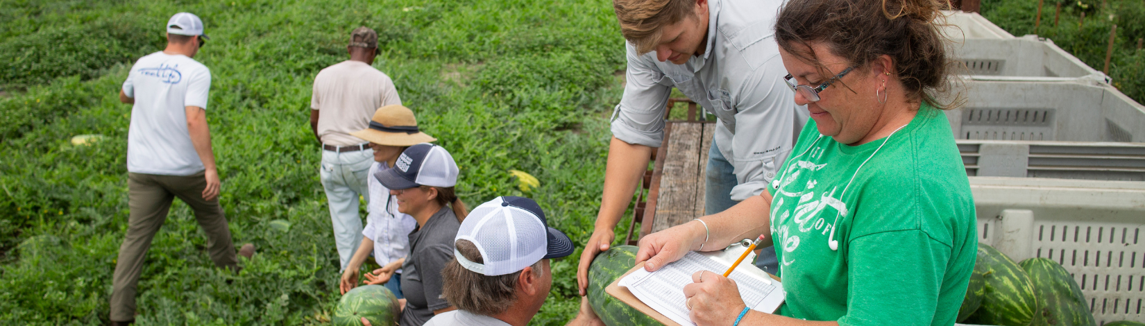 farm business human resources watermelon