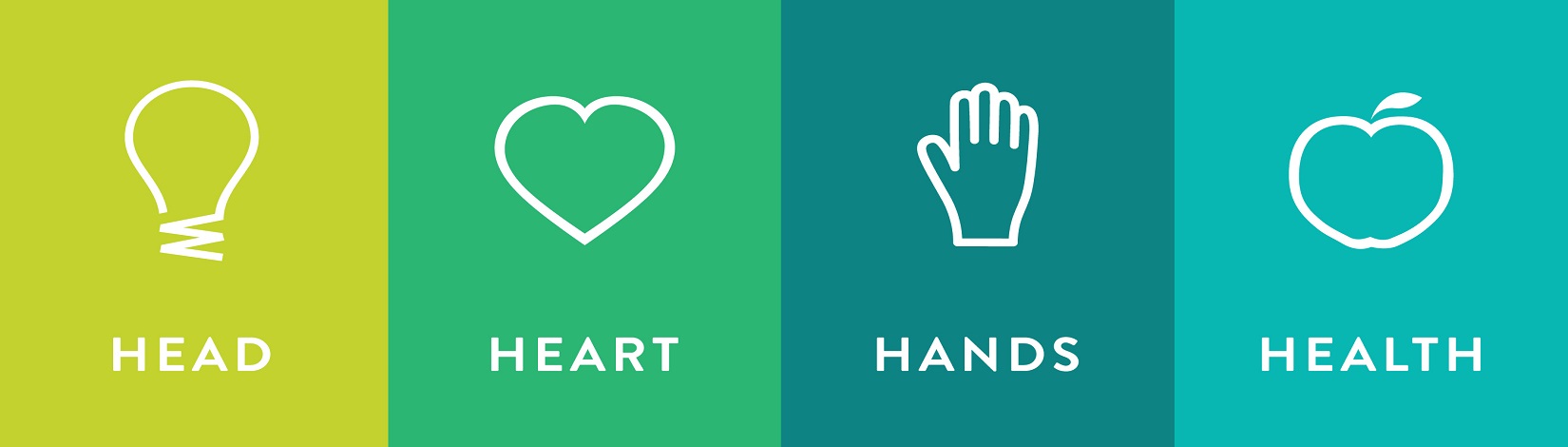 Banner of 4-H Head Heart Hands Size- 1650x470