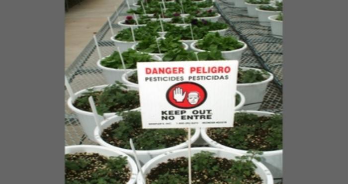 Danger Pesticide 2