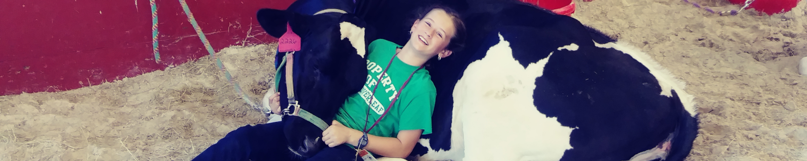a sarasota county 4-h youth smiles and shares a light moment, lying beside her cow entered in the county fair. [credit: uf/ifas extension sarasota county]