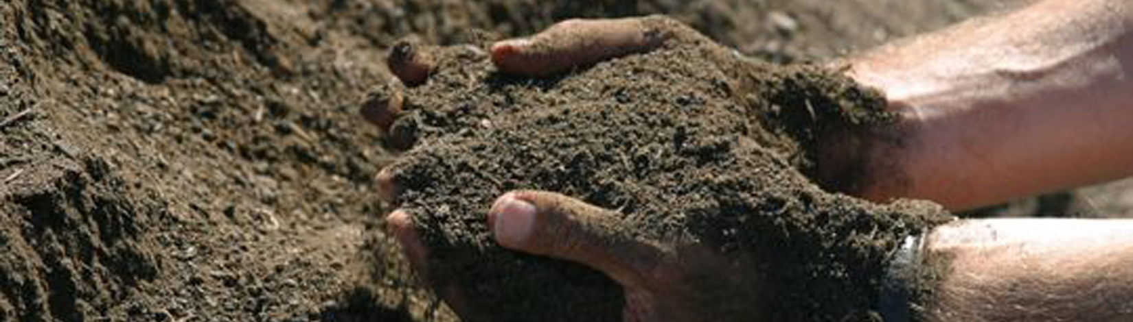 Hands sift through compost ready for use
