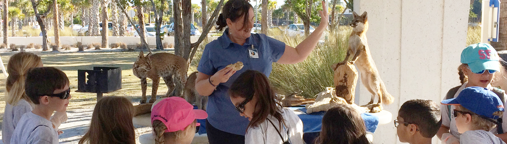 a uf/ifas extension sarasota county educator teaches an array of students about wildlife, with wildlife props in the background