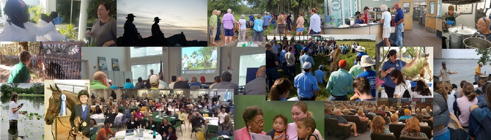 collage of activity photos from Sarasota County Extension