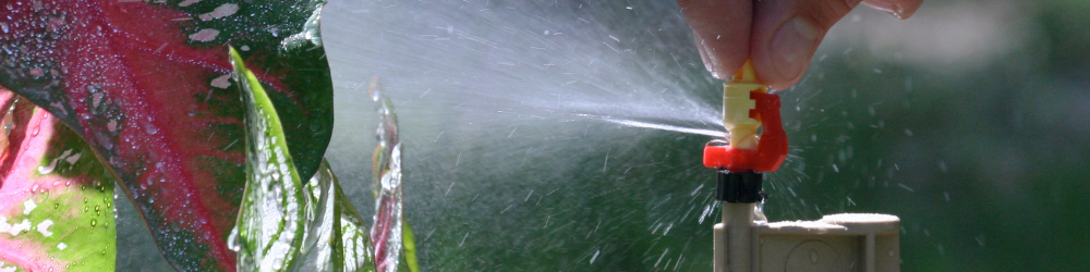 A microsprinkler watering plants