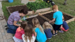 a sarasota county extension gardens educator helps young students get hands-on in a raised garden bed
