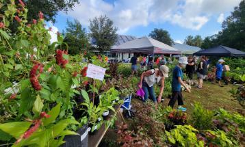 Visitors look over an array of plants available at the 15th Annual UF/IFAS Extension Master Gardener Volunteers of Sarasota County Plant Sale and EdFest