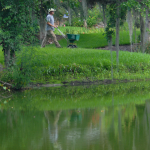a worker uses a walk-behind broadcast spreader to apply chemicals to a residential landscape. [credit: uf/ifas]