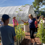 master gardener volunteers in action on the sarasota county extension grounds. [credit: uf/ifas extension sarasota county]