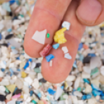 closeup of fingers coated with microplastic particles, with a pile of microplastic particles in background. [credit: uf/ifas]