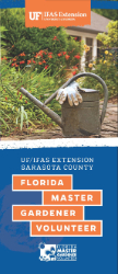tri-fold information brochure about local Master Gardener Volunteer program
