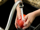 a person washes a tomato under running water in a sink