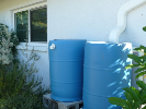 two, blue rain barrels sit next to a white home, connected to a rooftop gutter downspout and ready to collect rain water