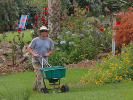 an individual uses a manually powered fertilizer/chemical spreader in a grassy area, with nearby plants and trees