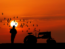 a grower stands in a field near a tractor, silhoutted against an orange sky with a setting sun in the background