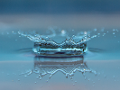closeup of a drop splashing into a light-blue pool of water