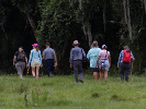 a group of people strolls through a grassy field and into a forested area