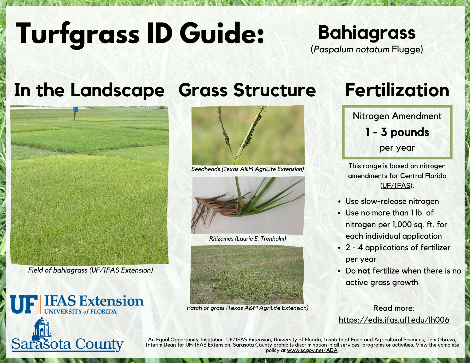 Guide to fertilizing Bahiagrass in Sarasota County