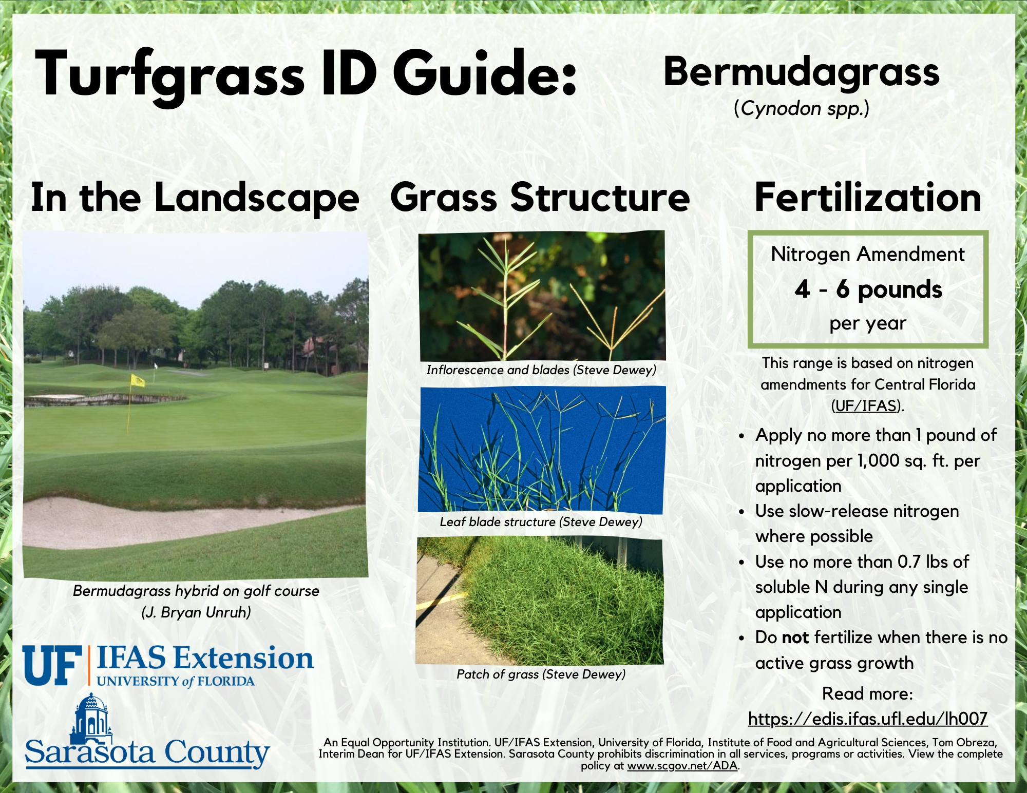 Guide to fertilizing Bermudagrass in Sarasota County