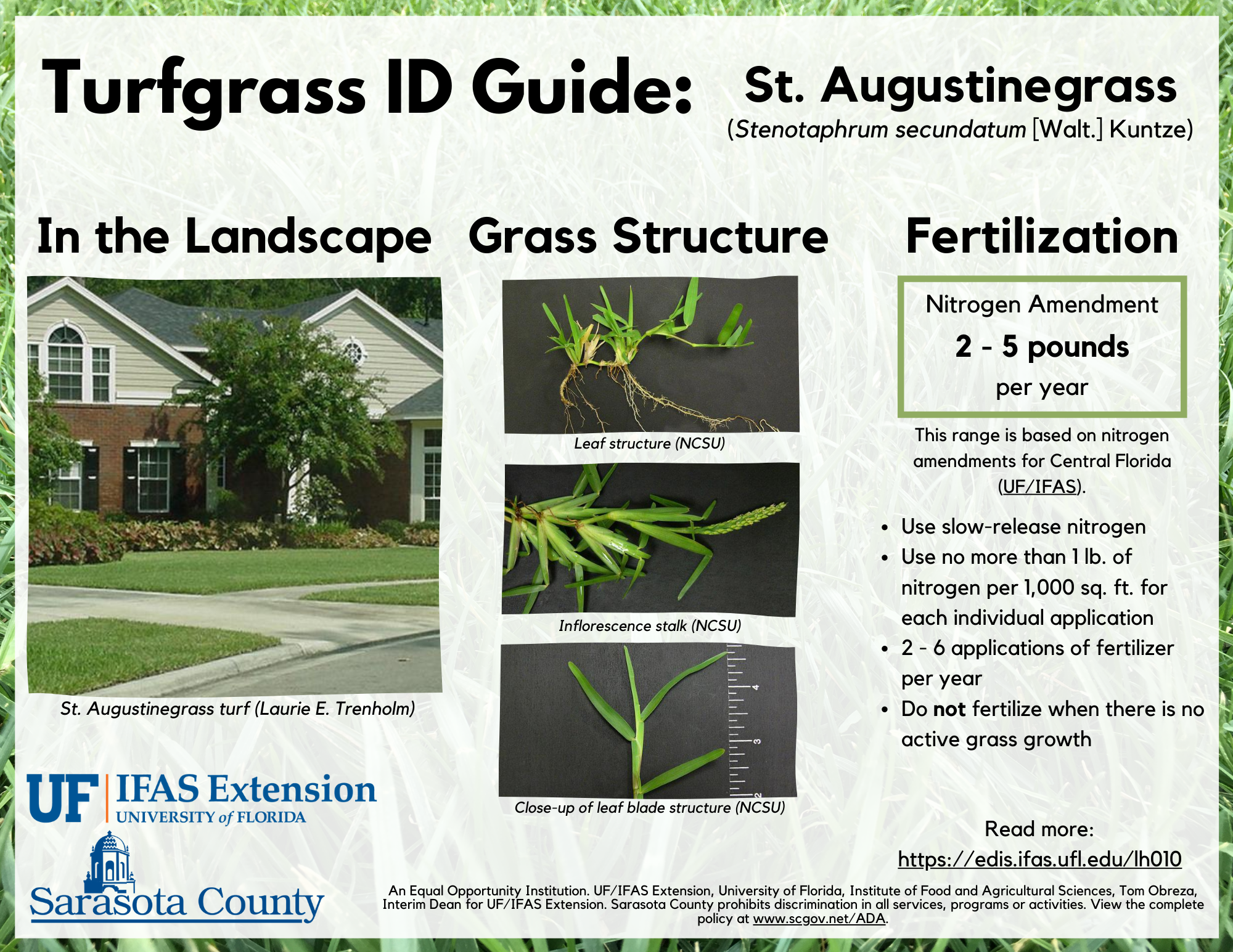 Guide to fertilizing St. Augustinegrass in Sarasota County