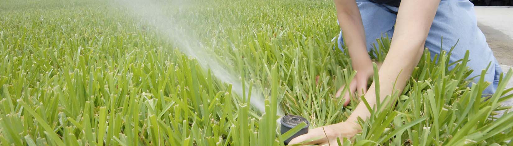 Woman adjusting sprinklers for lawn maintenance