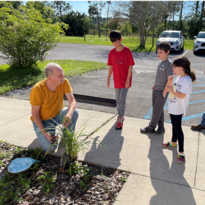 Man on ground with plants