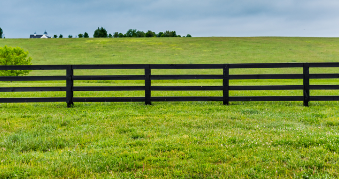 green pasture with fence