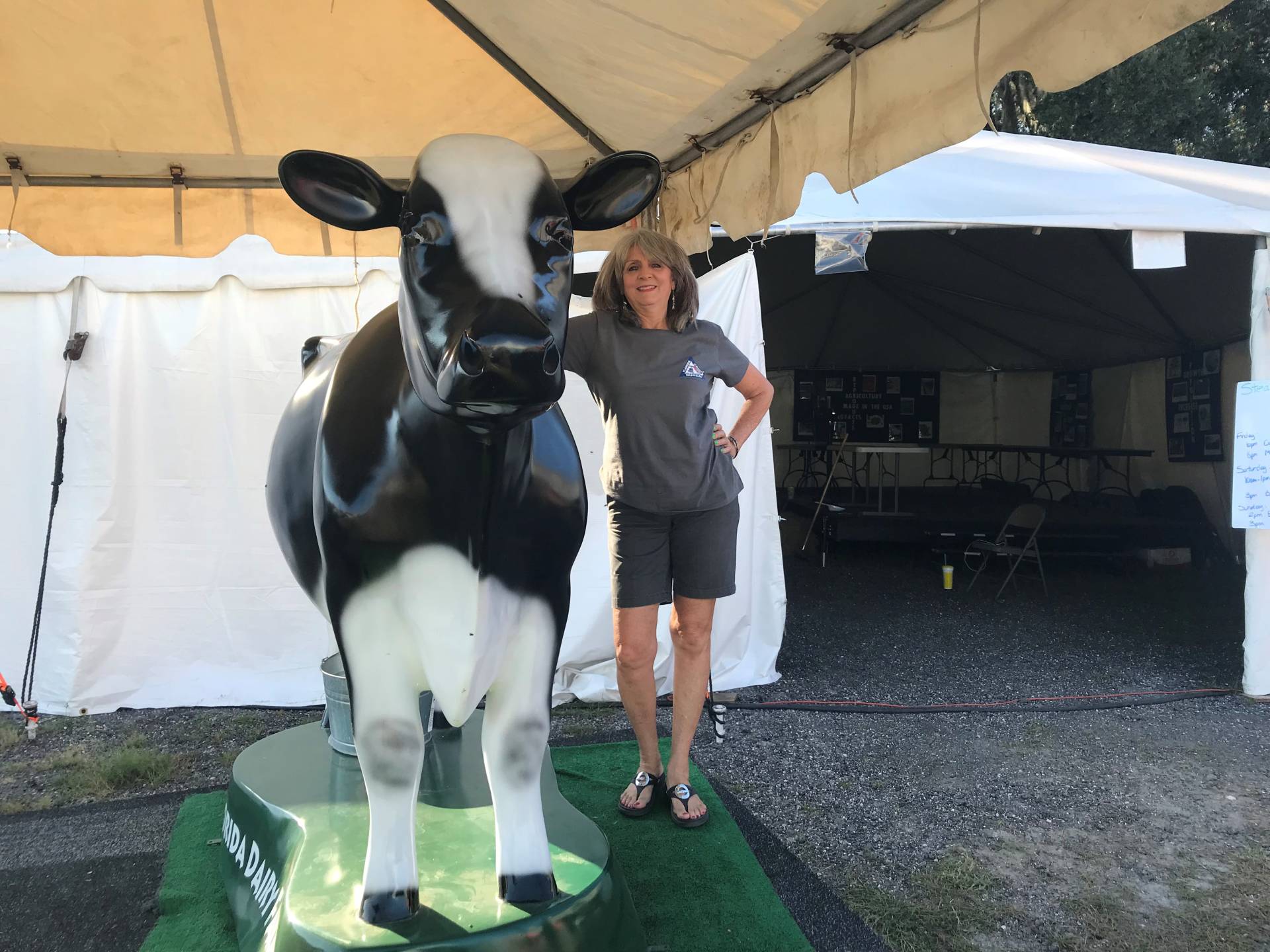 Woman posing with a large black-and-white cow statue labeled 'DAIRY' under a tent at an outdoor event, with informational booths and white tents in the background