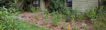 A gray house with a lawn featuring native Florida plants.