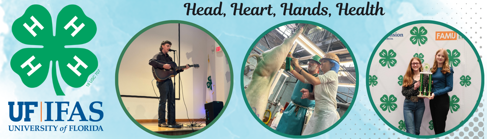 Banner with UF/IFAS logo, 4-H green clover, a picture of a person on stage, a picture of two people at hog and ham processing, picture with two girls receiving an award, the words head, heart, hands and health