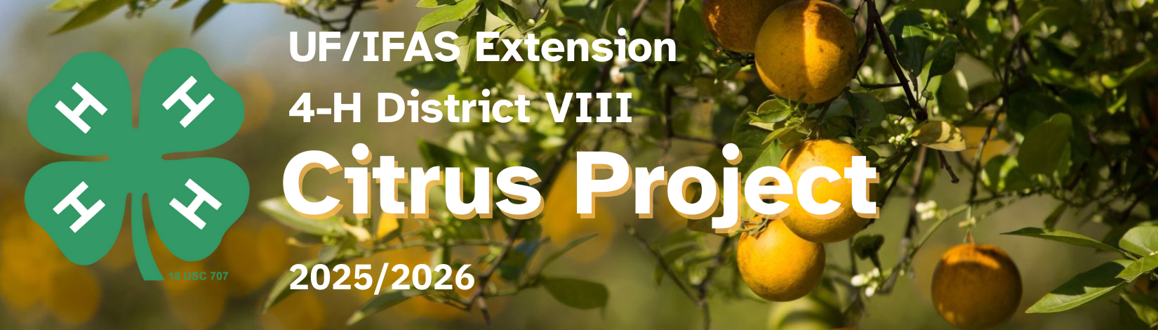 District VIII header for 4-H citrus project with orange trees