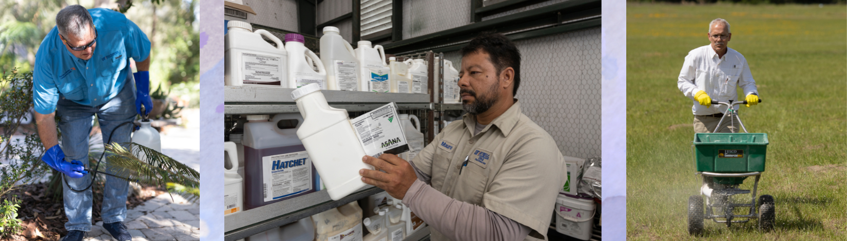 Men choosing and applying pesticide and fertilizer