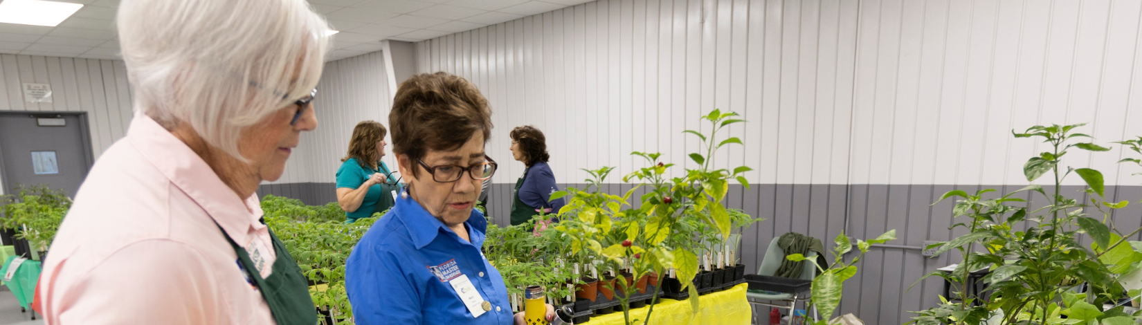 two women at a plant sale