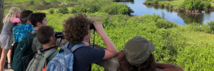 Children on overlook looking into the river