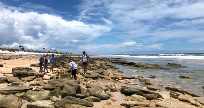 photo of coastal area with rocks