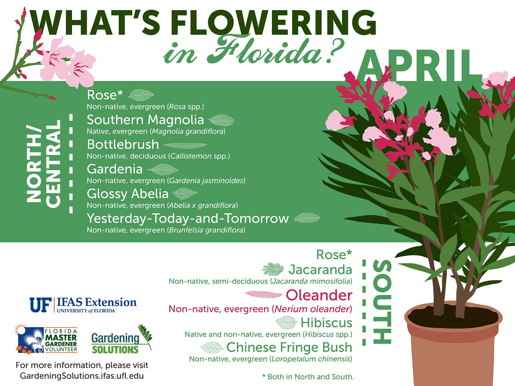 list of plants flowering in April