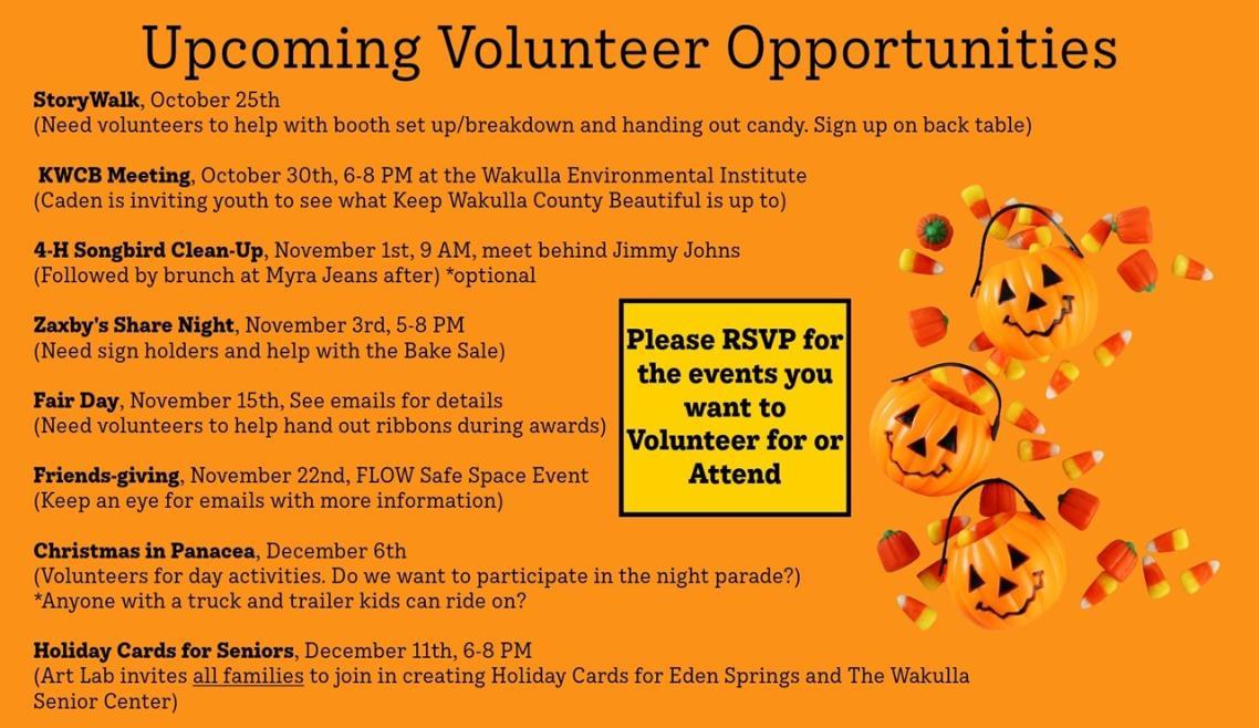 2025 4-H Opportunities for Volunteers