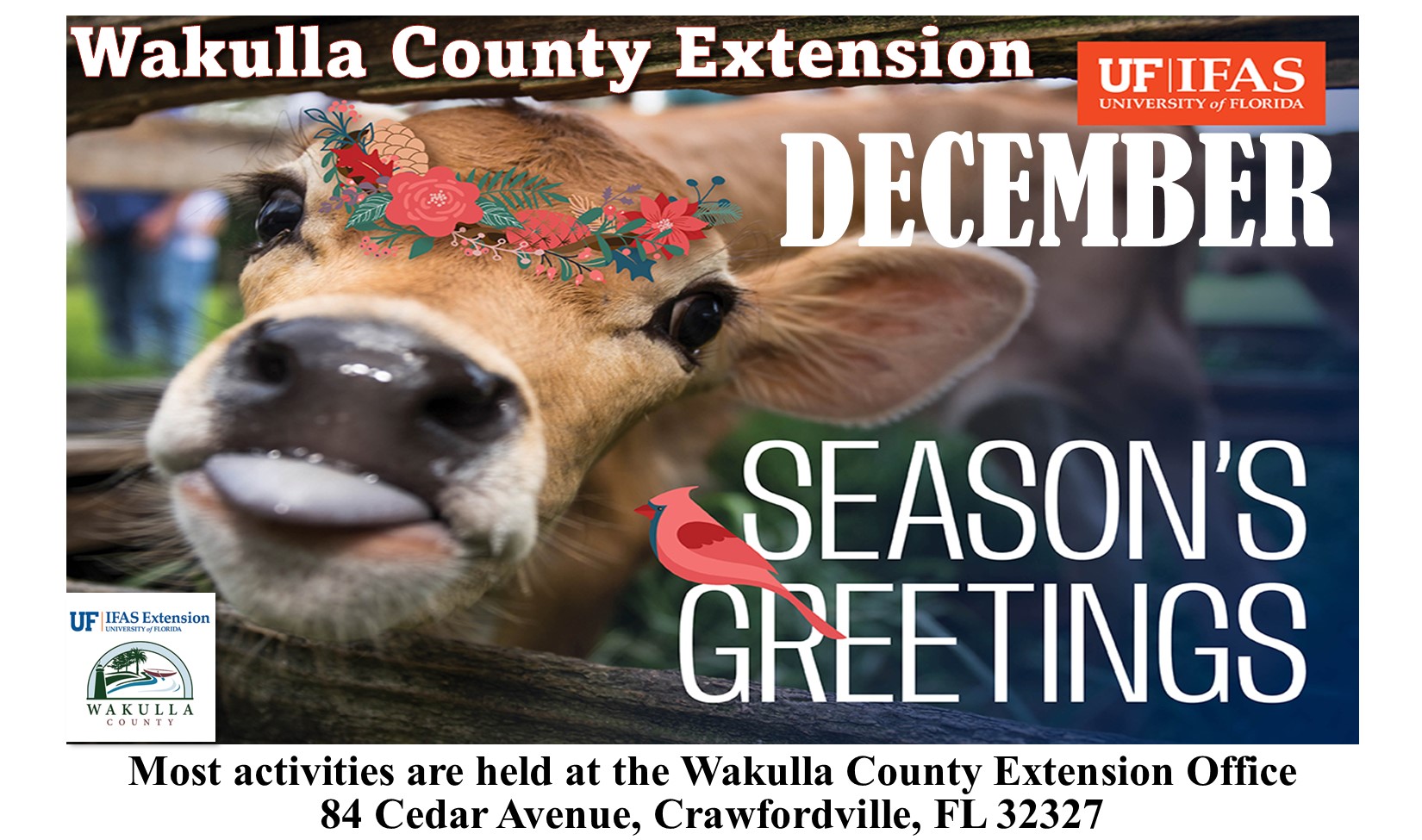 2025 December top banner